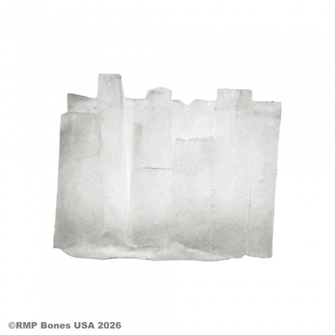 Reaper 07236 Wall of Ice Spell Effect Translucent (Clear) Wall