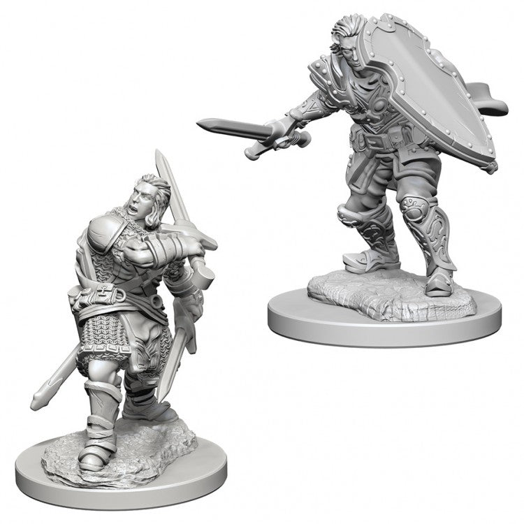 Wizkids 72629 D&D: NMU: Human Male Paladin W3