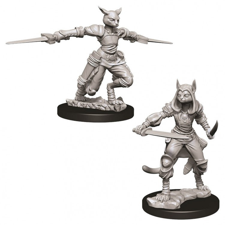 Wizkids 73708 D&D: NMU: Female Tabaxi Rogue W9
