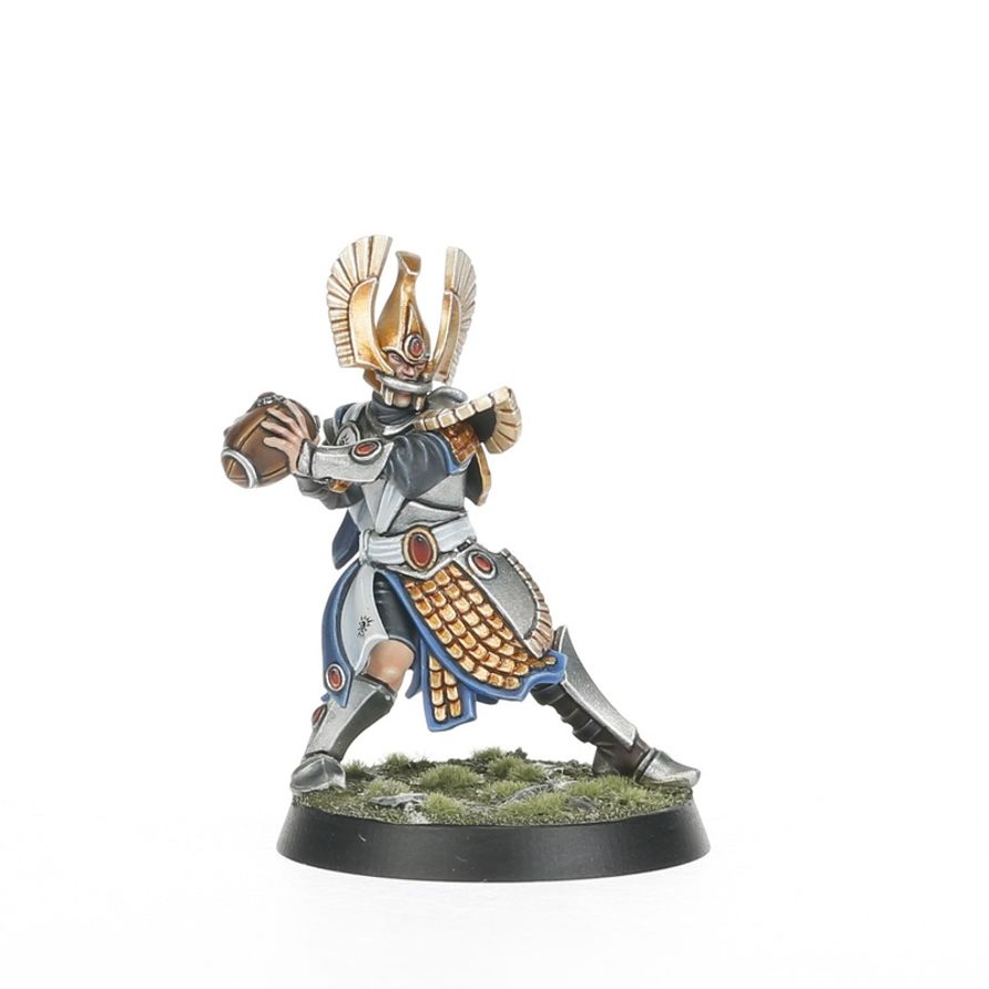 Blood Bowl: High Elf Blood Bowl Team: The Caledor Dragons