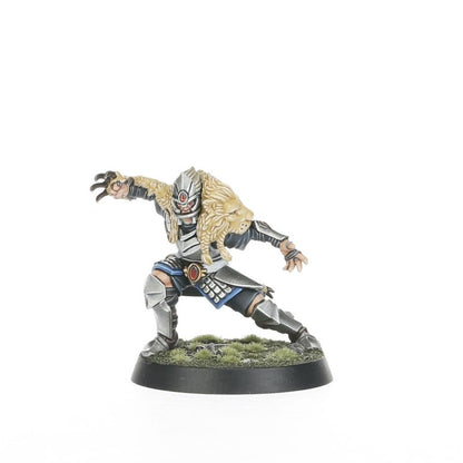 Blood Bowl: High Elf Blood Bowl Team: The Caledor Dragons