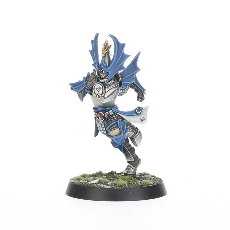 Blood Bowl: High Elf Blood Bowl Team: The Caledor Dragons