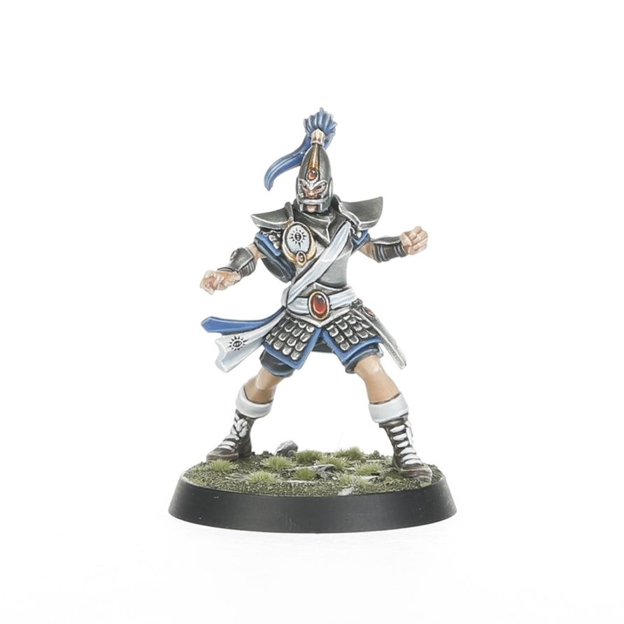 Blood Bowl: High Elf Blood Bowl Team: The Caledor Dragons