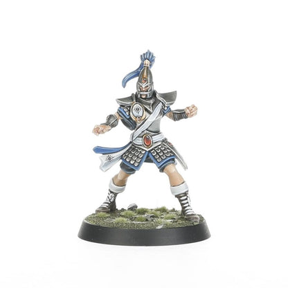 Blood Bowl: High Elf Blood Bowl Team: The Caledor Dragons
