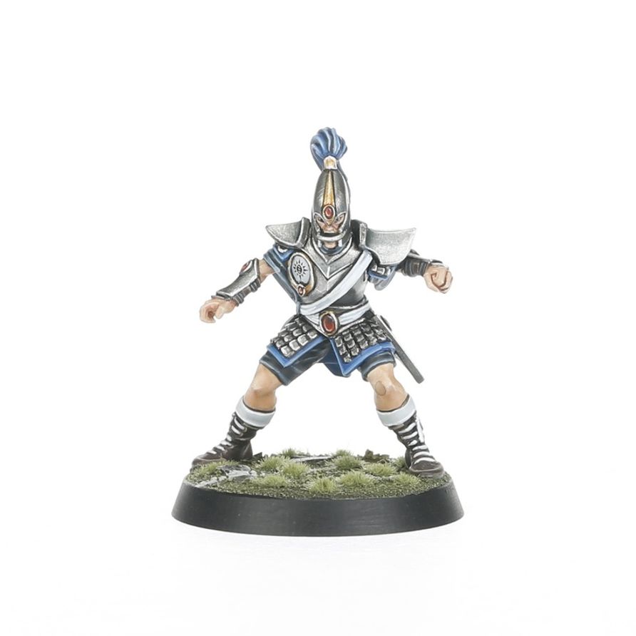 Blood Bowl: High Elf Blood Bowl Team: The Caledor Dragons