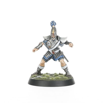 Blood Bowl: High Elf Blood Bowl Team: The Caledor Dragons