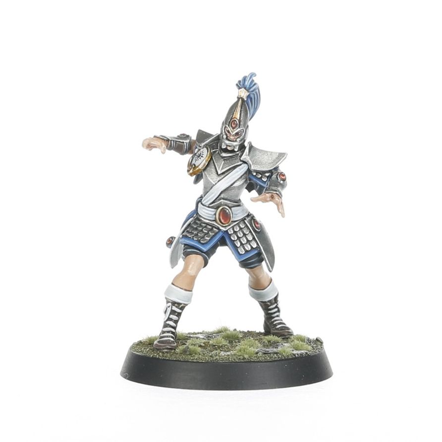 Blood Bowl: High Elf Blood Bowl Team: The Caledor Dragons