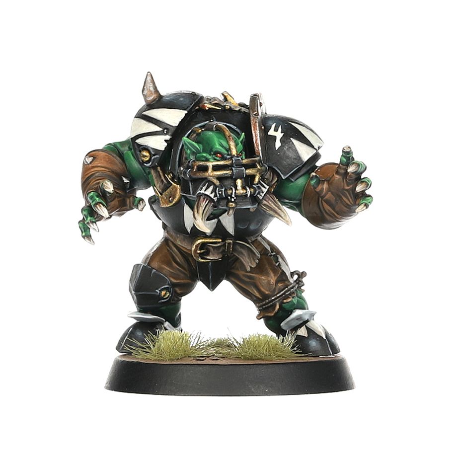 Blood Bowl: Black Orc Blood Bowl Team: The Thunder Valley Greenskins