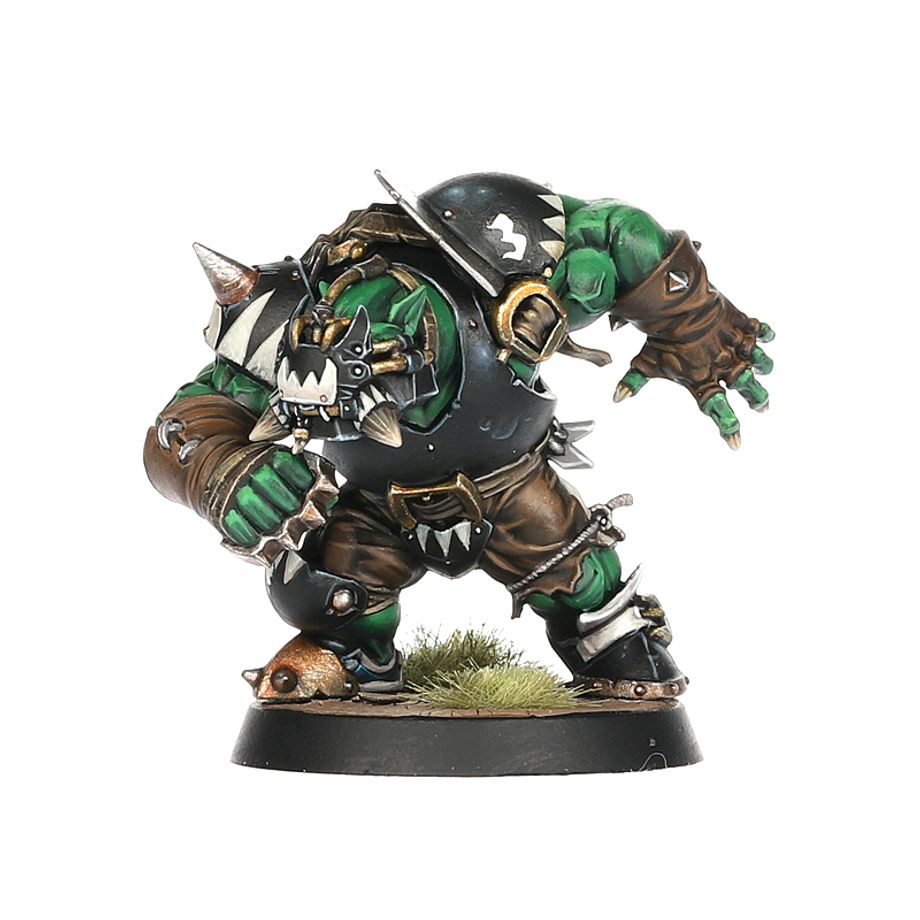 Blood Bowl: Black Orc Blood Bowl Team: The Thunder Valley Greenskins