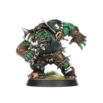 Blood Bowl: Black Orc Blood Bowl Team: The Thunder Valley Greenskins