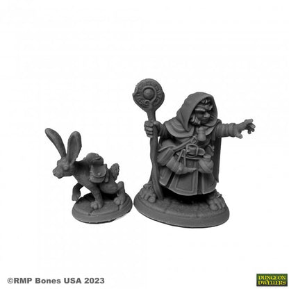 Reaper 07096 Hollis Grayheath and Verbena Halfling Druid and Hare Animal Companion