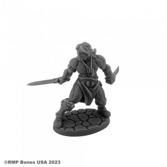 Reaper 07116 Hyborian Hero