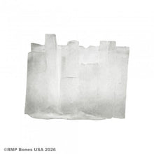 Reaper 07236 Wall of Ice Spell Effect Translucent (Clear) Wall