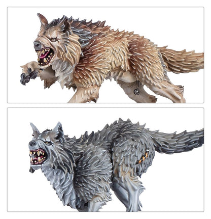 Warhammer 40k: Space Wolves Army Set