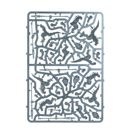 Warhammer AoS: Seraphon: Spearhead