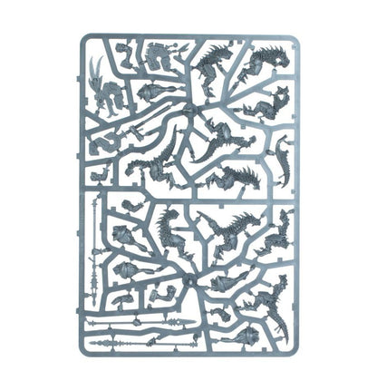 Warhammer AoS: Seraphon: Spearhead