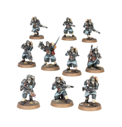 Warhammer 40k: Astra Militarum: Death Korps of Krieg