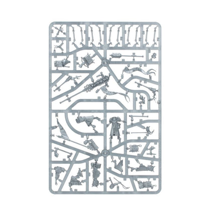 Warhammer AoS: Cities of Sigmar: Freeguild Fusiliers