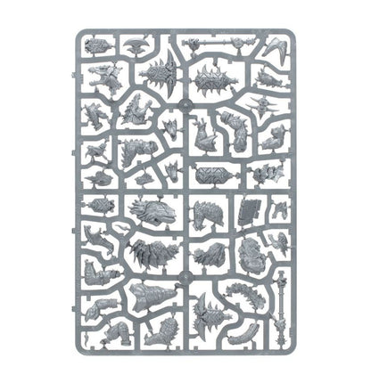 Warhammer AoS: Seraphon: Spearhead