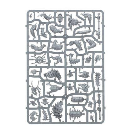 Warhammer AoS: Seraphon: Spearhead