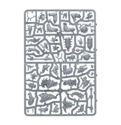 Warhammer AoS: Seraphon: Spearhead