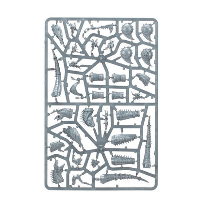 Warhammer AoS: Seraphon: Aggradon Lancers