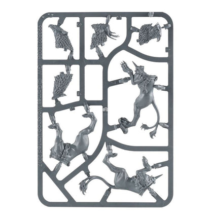 Warhammer AoS: Stormcast Eternals: Gryph-hounds