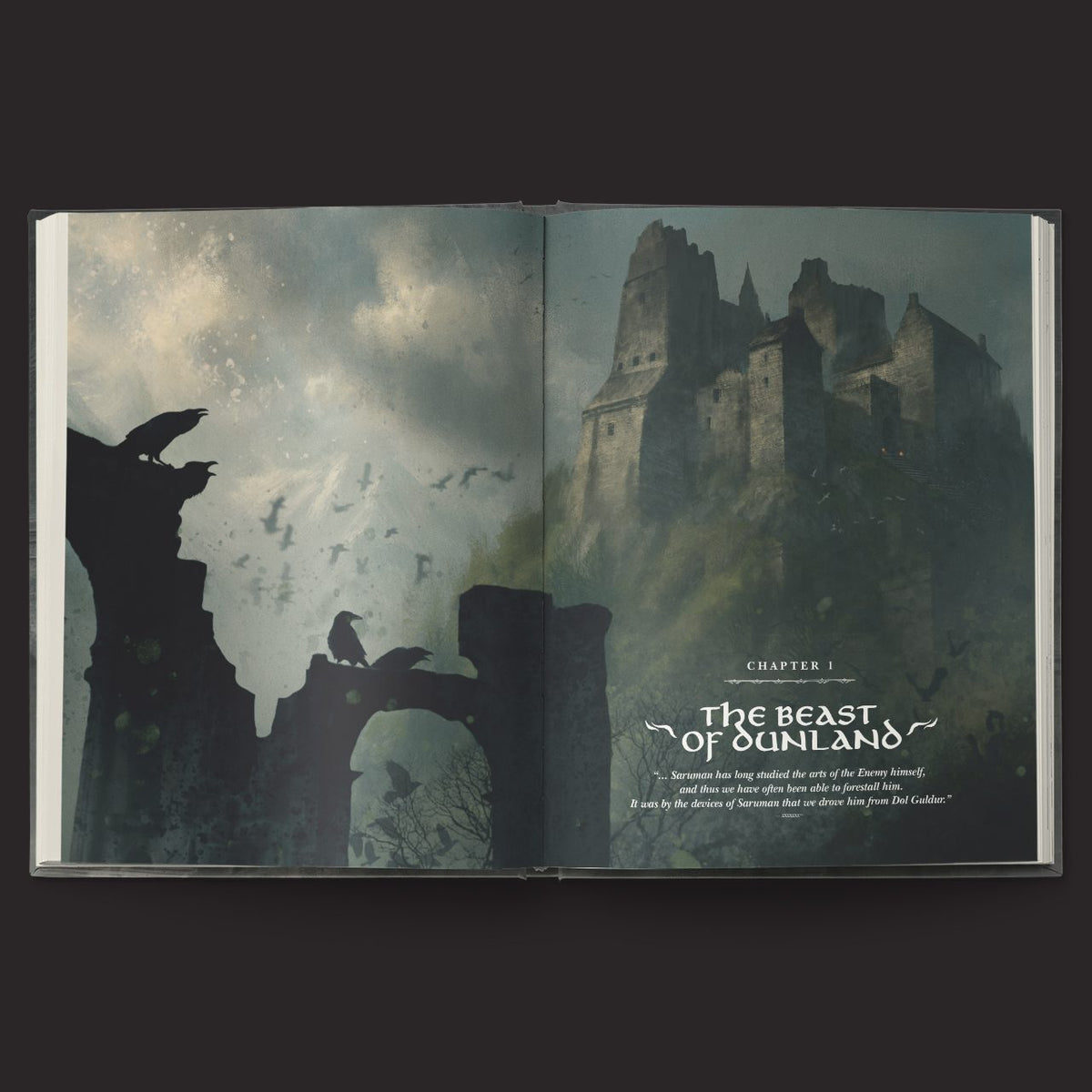 The One Ring: Hands of the White Wizard