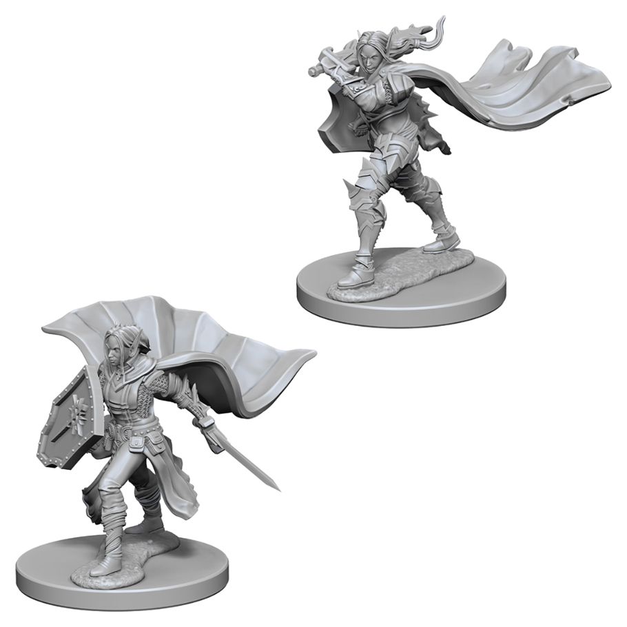 WizKids 72609 Pathfinder: Deep Cuts Minis: Elf Female Paladin W4