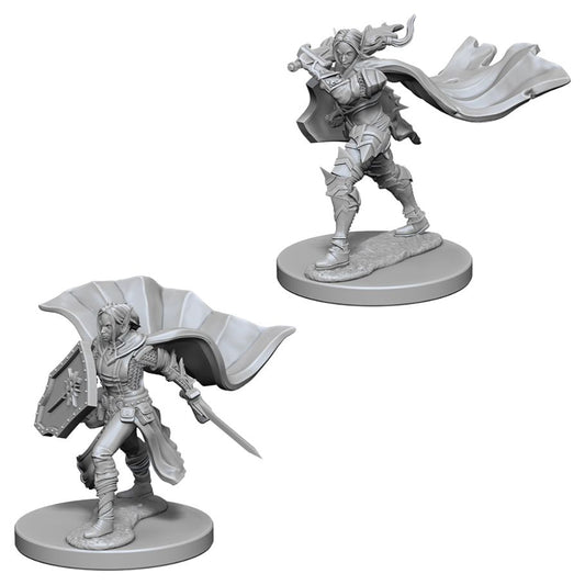 WizKids 72609 Pathfinder: Deep Cuts Minis: Elf Female Paladin W4