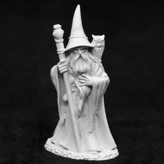 Reaper 03953 Anuminar Winterbeard, Wizard