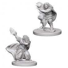 WZK72621 Dwarf Female Wizard