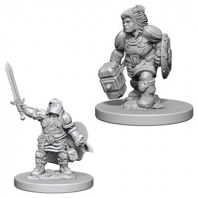 WZK72631 Dwarf Female Paladin