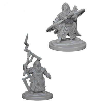 WZK73188 Dwarf Male Sorcerer