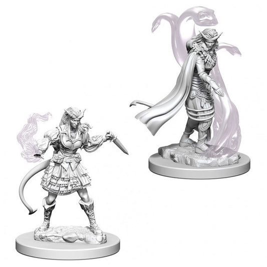 Wizkids 73202 D&D: NMU: Tiefling Female Sorcerer W4