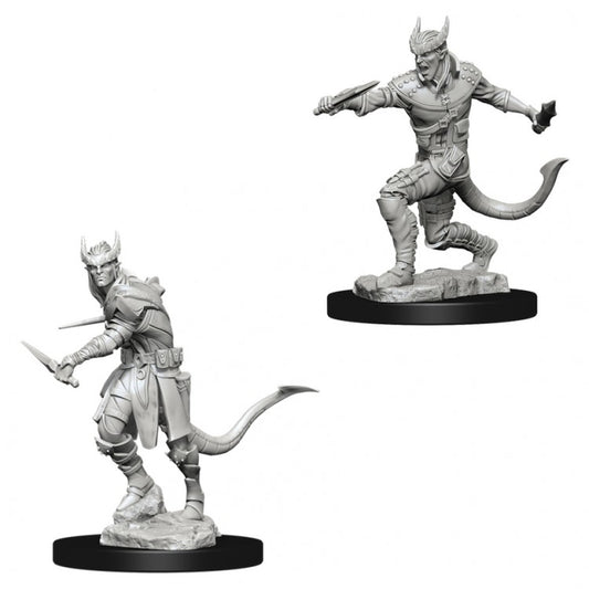 Wizkids 73338 D&D: NMU: Tiefling Male Rogue W5