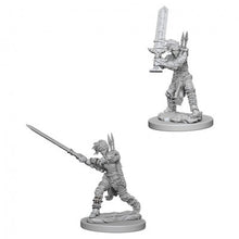 WZK73414 Human Female Barbarian