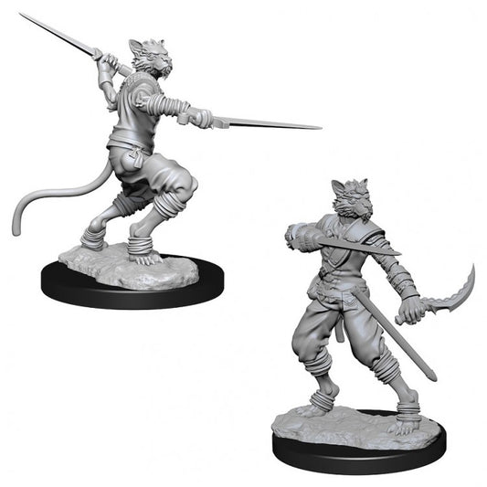 Wizkids 73540  D&D: NMU: Male Tabaxi Rogue W7