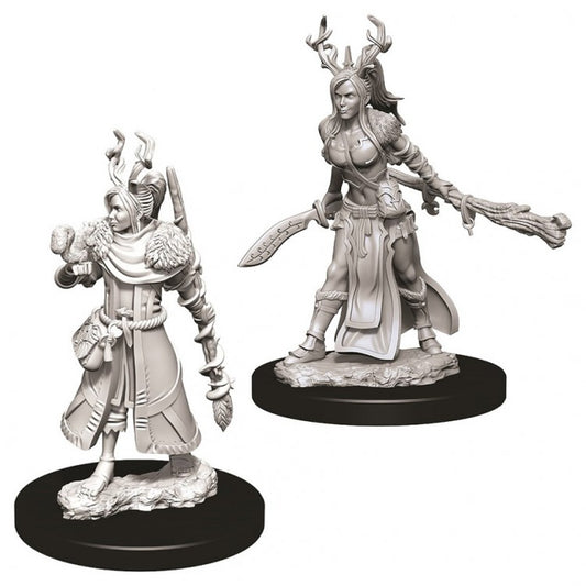 Wizkids 73701 D&D: NMU: Female Human Druid W9