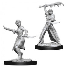 WZK73831 Human Female Rogue
