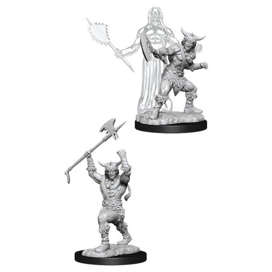 Wizkids 90007 D&D: NMU: Male Human Barbarian W11