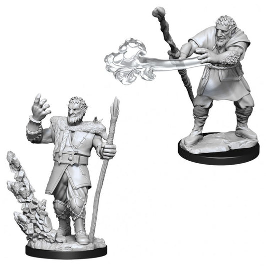 Wizkids 90013 D&D: NMU: Male Firbolg Druid W11