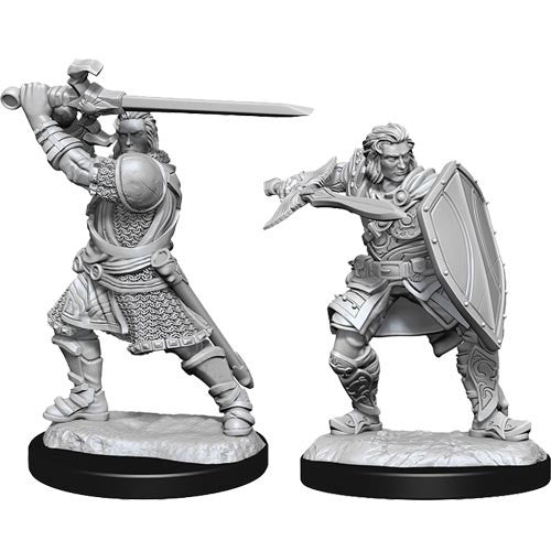 Wizkids 90220 D&D: NMU: Human Paladin Male W14