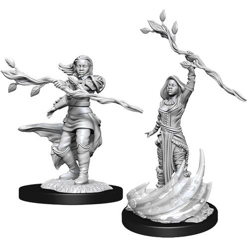 Wizkids 90223 D&D: NMU: Human Druid Female W14