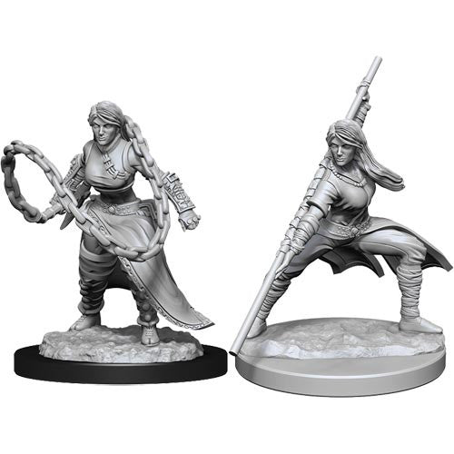 Wizkids 90225 D&D: NMU: Human Monk Female W14