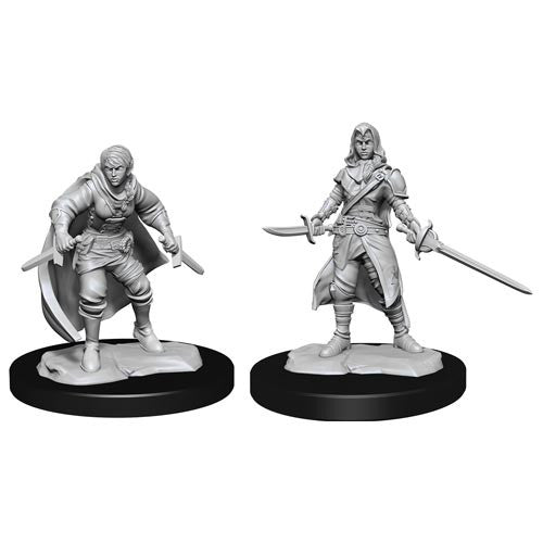 Wizkids 90228 D&D: NMU: Half-Elf Rogue Female W14