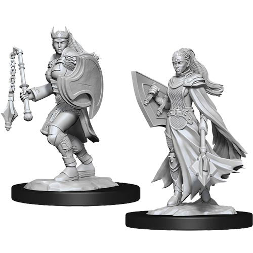 Wizkids 90233 D&D: NMU: Kalashtar Cleric Female W14