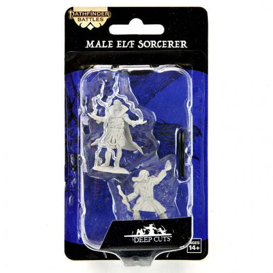 Wizkids 90262  PF: DC: Elf Sorcerer Male W14