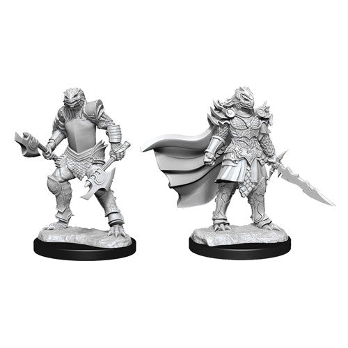 Wizkids 90302 D&D: NMU: Dragonborn Fighter Female W15