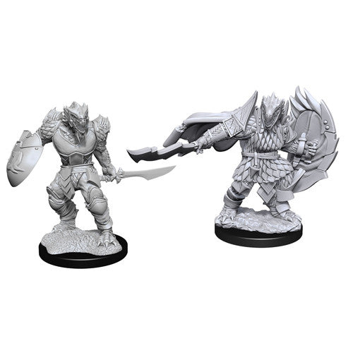 Wizkids 90303 D&D: NMU: Dragonborn Fighter Male W15